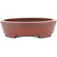 Oval unglazed bonsai pot by Bigei - 160 x 125 x 32 mm