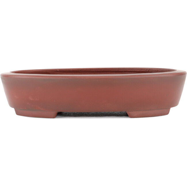 Vaso bonsai ovale non smaltato di Bigei - 160 x 125 x 32 mm