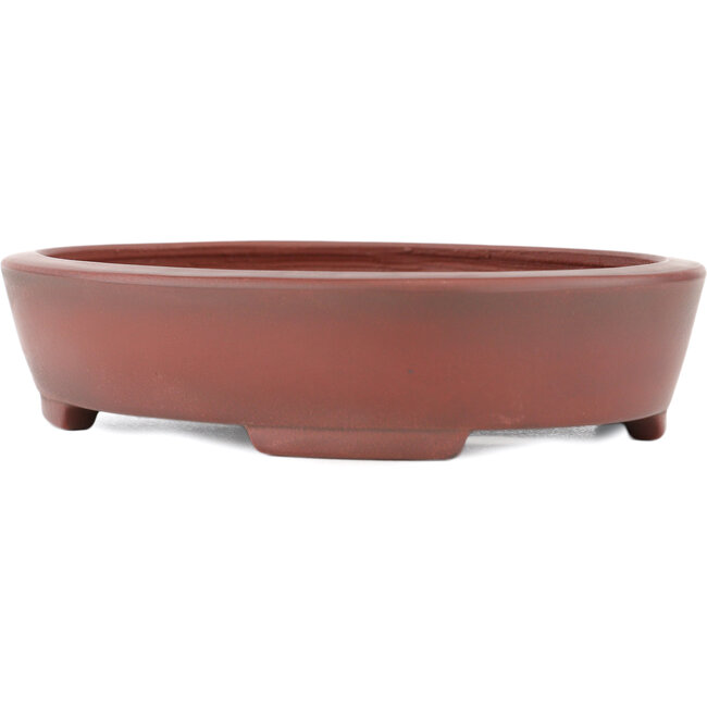 Oval unglazed bonsai pot by Bigei - 160 x 125 x 32 mm