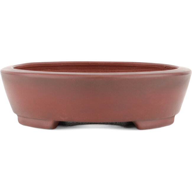 Pot à bonsaï ovale non émaillé par Bigei - 160 x 125 x 32 mm