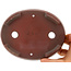 Pot à bonsaï ovale non émaillé par Bigei - 160 x 125 x 32 mm