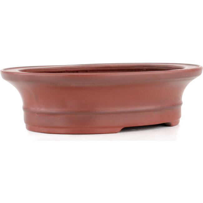 Maceta para bonsái ovalada sin esmaltar de Bigei - 160 x 125 x 40 mm