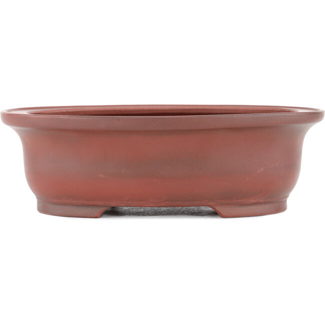 Pot à bonsaï ovale non émaillé par Bigei - 156 x 122 x 47 mm