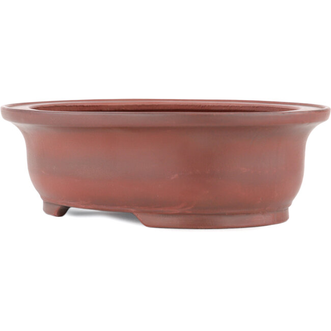 Maceta para bonsái ovalada sin esmaltar de Bigei - 156 x 122 x 47 mm