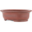 Oval unglazed bonsai pot by Bigei - 156 x 122 x 47 mm