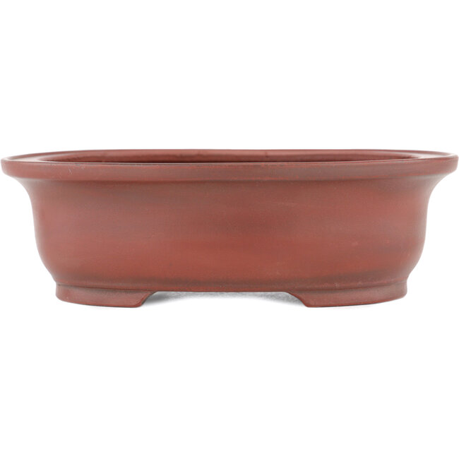 Maceta para bonsái ovalada sin esmaltar de Bigei - 156 x 122 x 47 mm