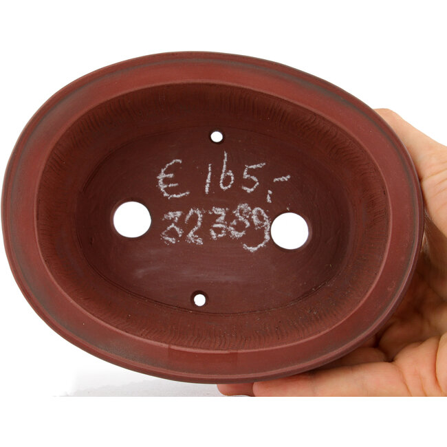 Maceta para bonsái ovalada sin esmaltar de Bigei - 156 x 122 x 47 mm