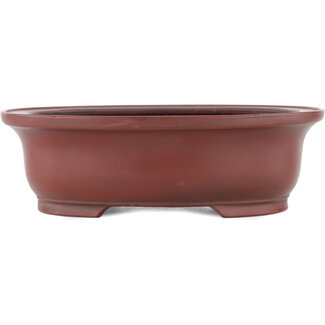 Bigei - Hirata Atsumi 156 mm unglasierte Bonsaischale von Bigei, Tokoname, Japan