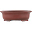 Pot à bonsaï ovale non émaillé par Bigei - 156 x 122 x 47 mm