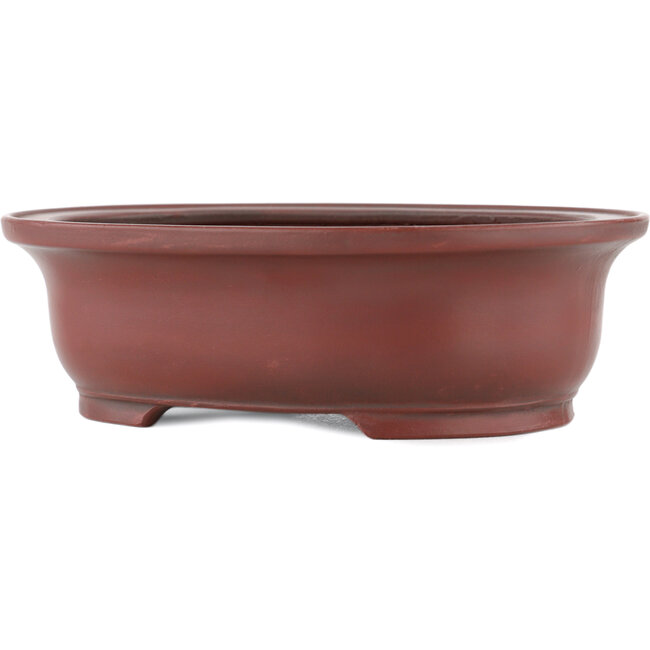 Maceta para bonsái ovalada sin esmaltar de Bigei - 156 x 122 x 47 mm