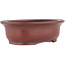 Pot à bonsaï ovale non émaillé par Bigei - 156 x 122 x 47 mm