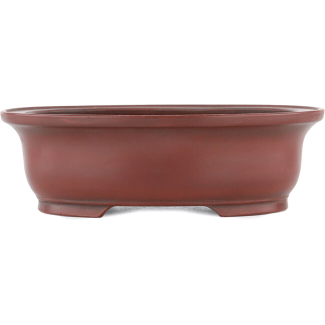 Pot à bonsaï ovale non émaillé par Bigei - 156 x 122 x 47 mm