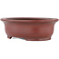 Pot à bonsaï ovale non émaillé par Bigei - 156 x 122 x 47 mm