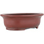 Pot à bonsaï ovale non émaillé par Bigei - 156 x 122 x 47 mm