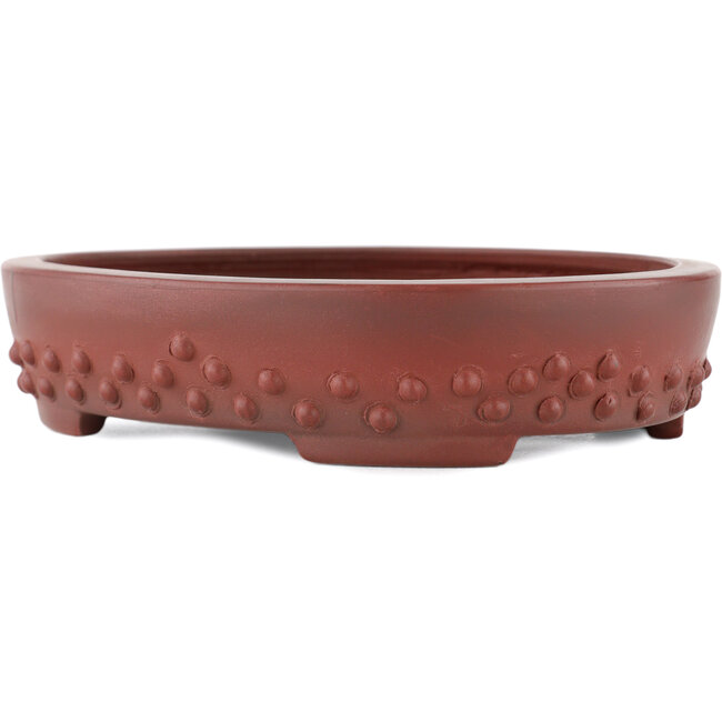 Pot à bonsaï ovale non émaillé par Bigei - 160 x 125 x 30 mm