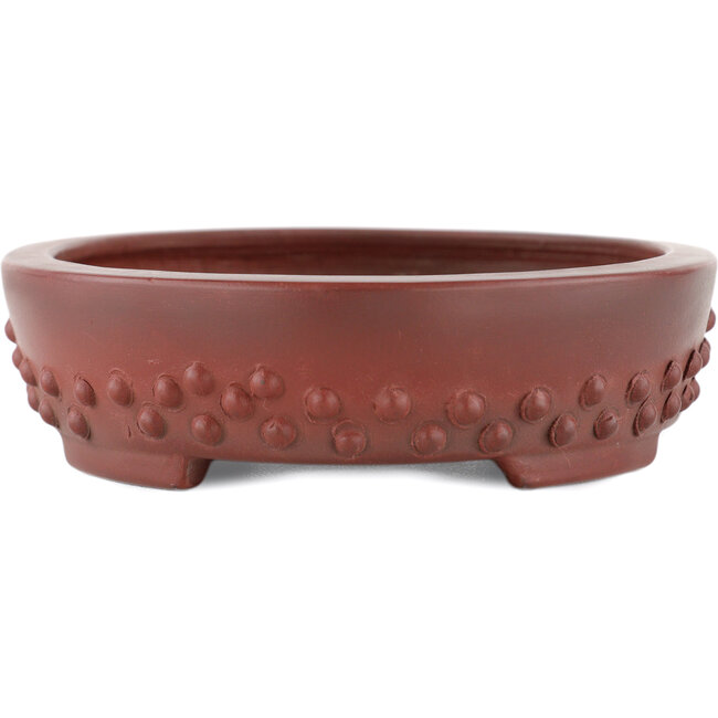 Ovaler, unglasierter Bonsaitopf von Bigei – 160 x 125 x 30 mm