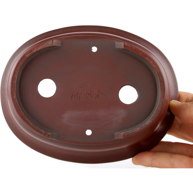 Vaso bonsai ovale non smaltato di Bigei - 156 x 122 x 47 mm