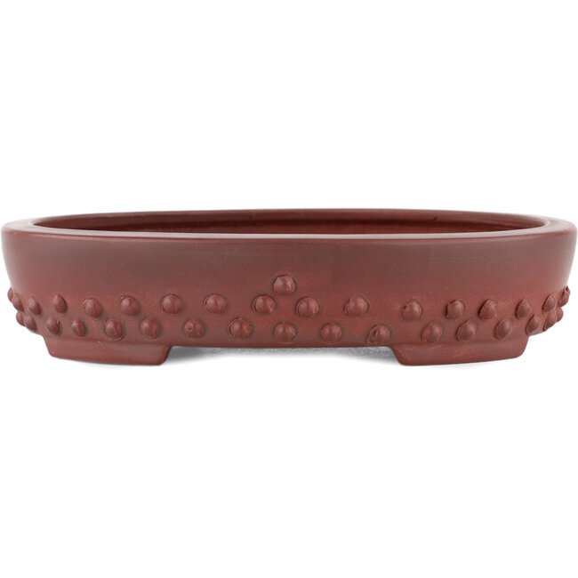 Pot à bonsaï ovale non émaillé par Bigei - 160 x 125 x 30 mm