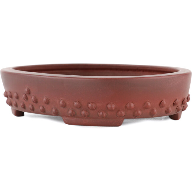 Ovaler, unglasierter Bonsaitopf von Bigei – 160 x 125 x 30 mm