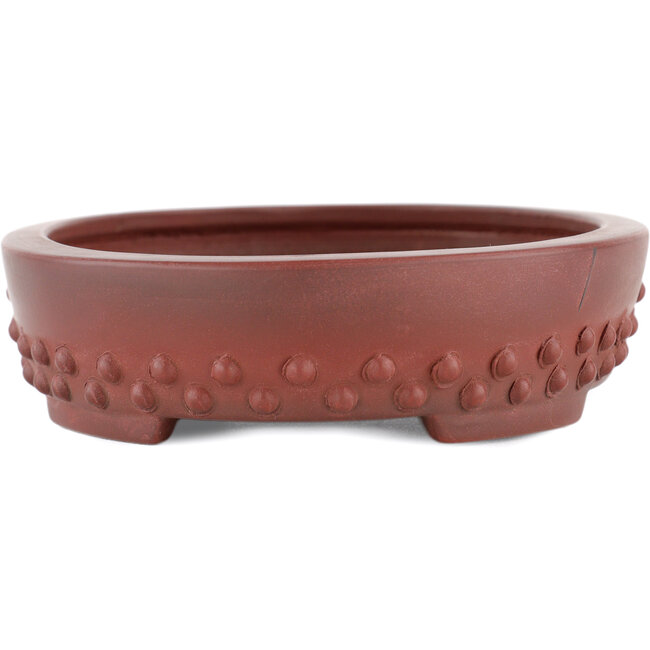 Pot à bonsaï ovale non émaillé par Bigei - 160 x 125 x 30 mm