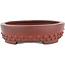 Pot à bonsaï ovale non émaillé par Bigei - 160 x 125 x 30 mm