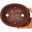 Pot à bonsaï ovale non émaillé par Bigei - 160 x 125 x 30 mm