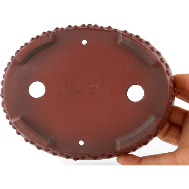 Maceta para bonsái ovalada sin esmaltar de Bigei - 160 x 125 x 30 mm