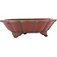 Pot à bonsaï Lotus non émaillé par Bigei - 145 x 145 x 46 mm