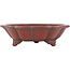 Pot à bonsaï Lotus non émaillé par Bigei - 145 x 145 x 46 mm