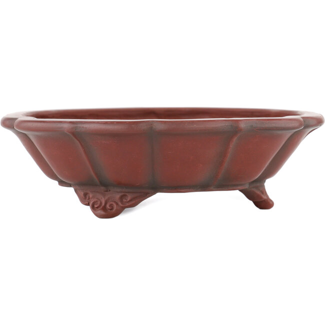 Maceta para bonsái Lotus sin esmaltar de Bigei - 145 x 145 x 46 mm