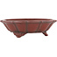Pot à bonsaï Lotus non émaillé par Bigei - 145 x 145 x 46 mm