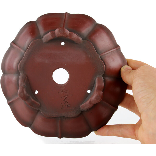 Lotus unglazed bonsai pot by Bigei - 145 x 145 x 46 mm