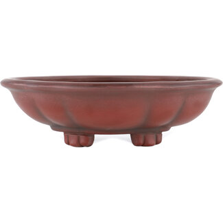 Bigei - Hirata Atsumi Maceta para bonsái sin esmaltar de 155 mm de Bigei, Tokoname, Japón