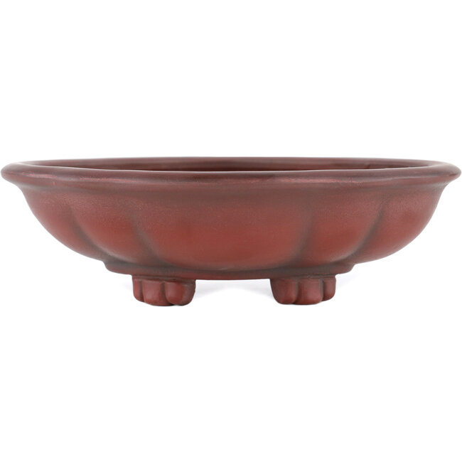 Maceta para bonsái Mokko sin esmaltar de Bigei - 155 x 140 x 55 mm