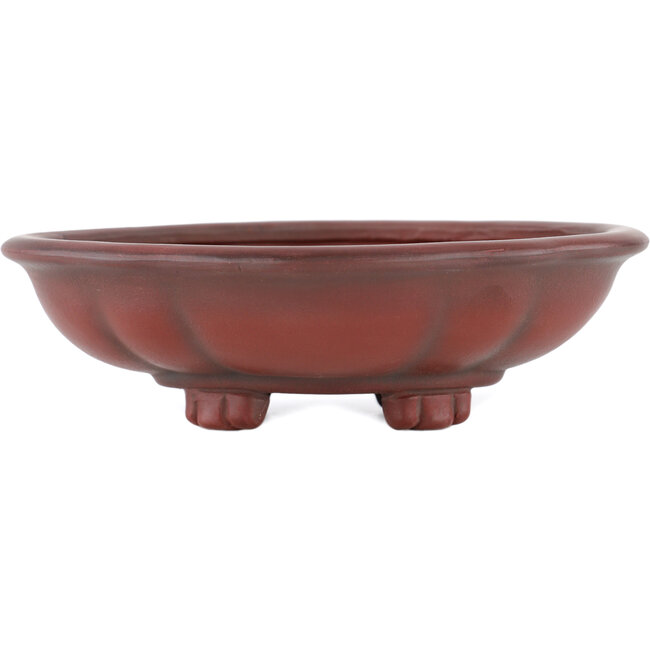 Maceta para bonsái Mokko sin esmaltar de Bigei - 155 x 140 x 55 mm