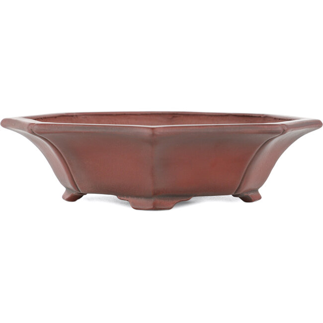Pot à bonsaï Mokko non émaillé par Bigei - 160 x 145 x 37 mm