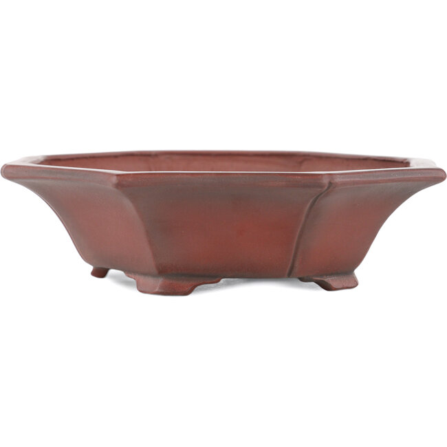 Mokko unglazed bonsai pot by Bigei - 160 x 145 x 37 mm