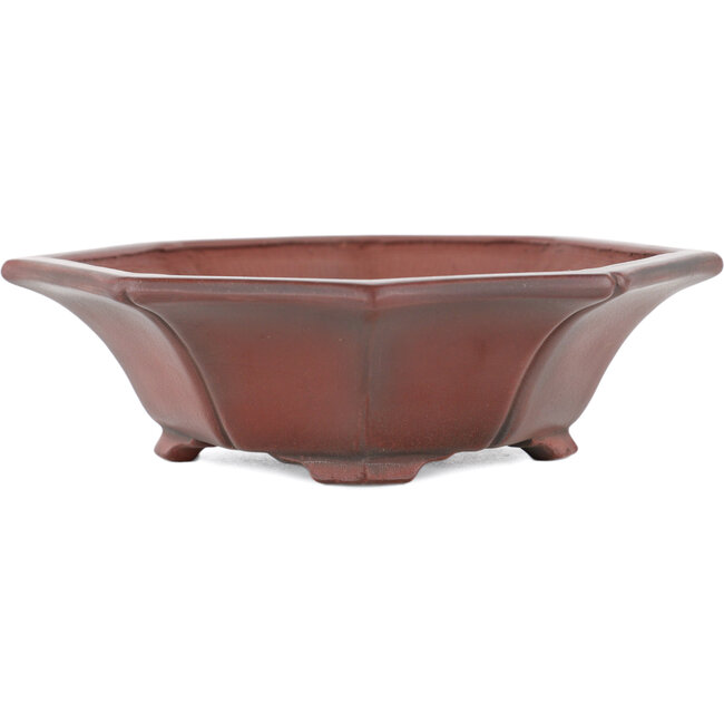 Pot à bonsaï Mokko non émaillé par Bigei - 160 x 145 x 37 mm