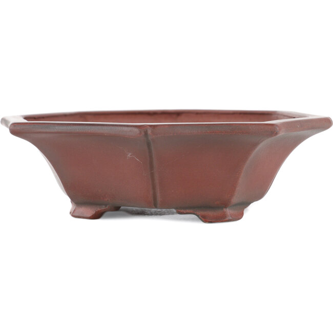 Maceta para bonsái Mokko sin esmaltar de Bigei - 160 x 145 x 37 mm