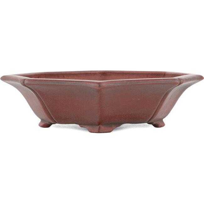 Unglasierte Mokko-Bonsaischale von Bigei – 140 x 125 x 33 mm