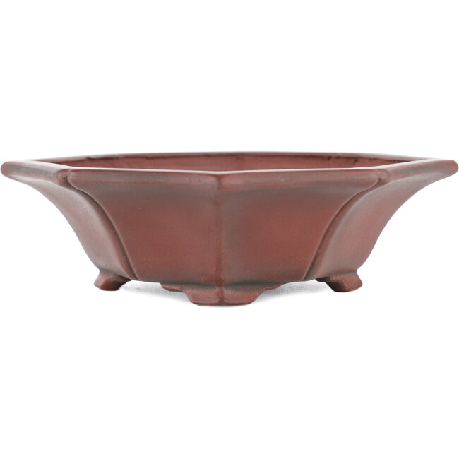 Maceta para bonsái Mokko sin esmaltar de Bigei - 160 x 145 x 37 mm