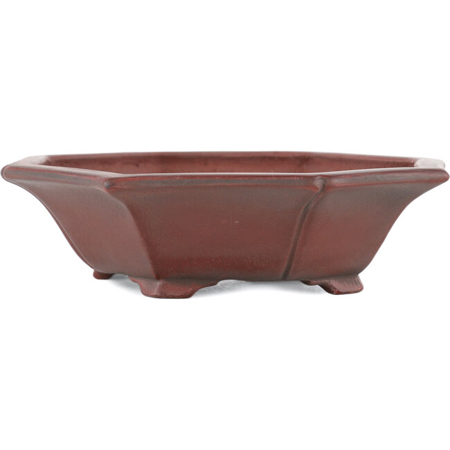 Vaso bonsai Mokko non smaltato di Bigei - 140 x 125 x 33 mm