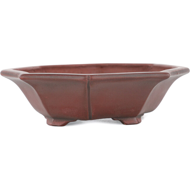 Vaso bonsai Mokko non smaltato di Bigei - 140 x 125 x 33 mm