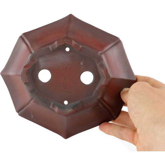 Mokko ongeglazuurde bonsaipot van Bigei - 160 x 145 x 37 mm