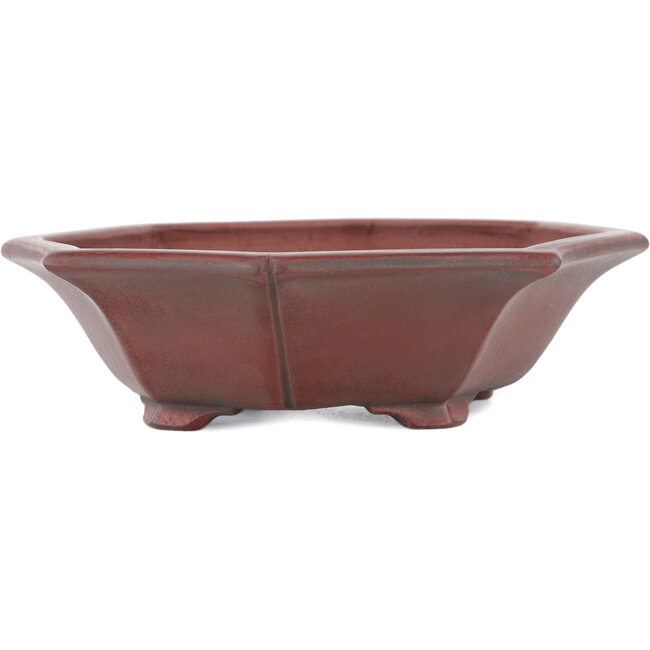 Maceta para bonsái Mokko sin esmaltar de Bigei - 140 x 125 x 33 mm