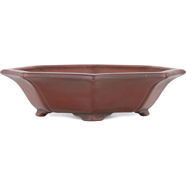 Pot à bonsaï Mokko non émaillé par Bigei - 140 x 125 x 33 mm