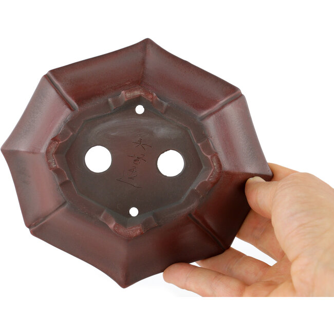 Mokko ongeglazuurde bonsaipot van Bigei - 140 x 125 x 33 mm