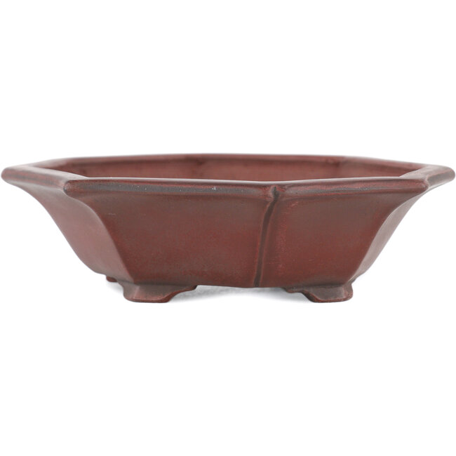 Unglasierte Mokko-Bonsaischale von Bigei – 140 x 125 x 33 mm