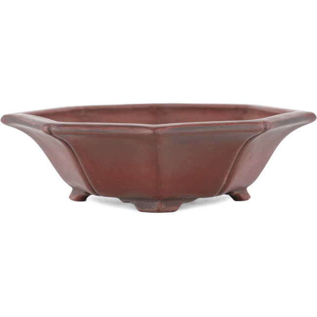 Maceta para bonsái Mokko sin esmaltar de Bigei - 140 x 125 x 33 mm