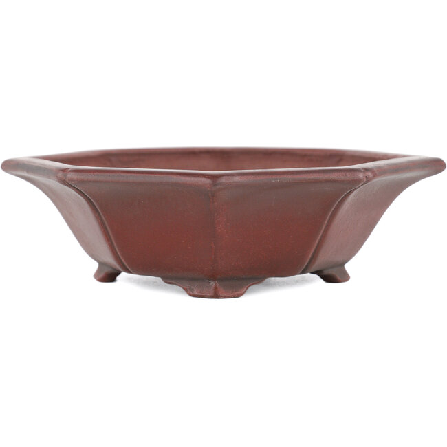 Mokko unglazed bonsai pot by Bigei - 140 x 125 x 33 mm